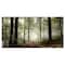 Designart - Light in Dense Fall Forest with Fog - Landscape Art Print Canvas